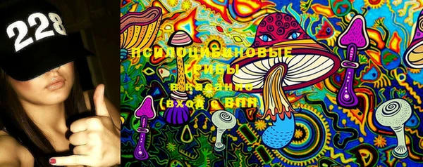 спайс Новозыбков